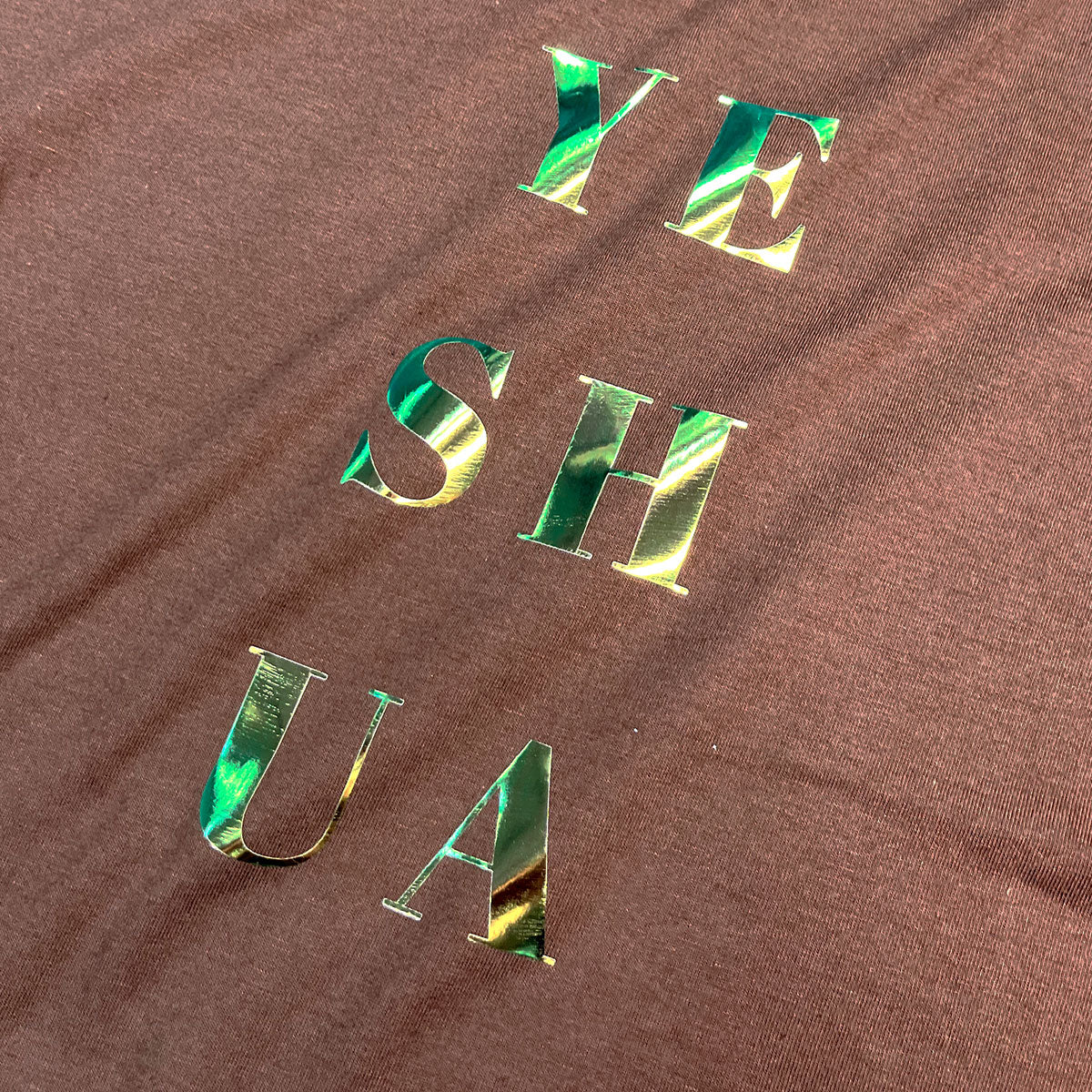 Camiseta Feminina Marrom Yeshua Camaleão