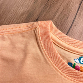 T-Shirt Infantil Salmão Leão E Cordeiro