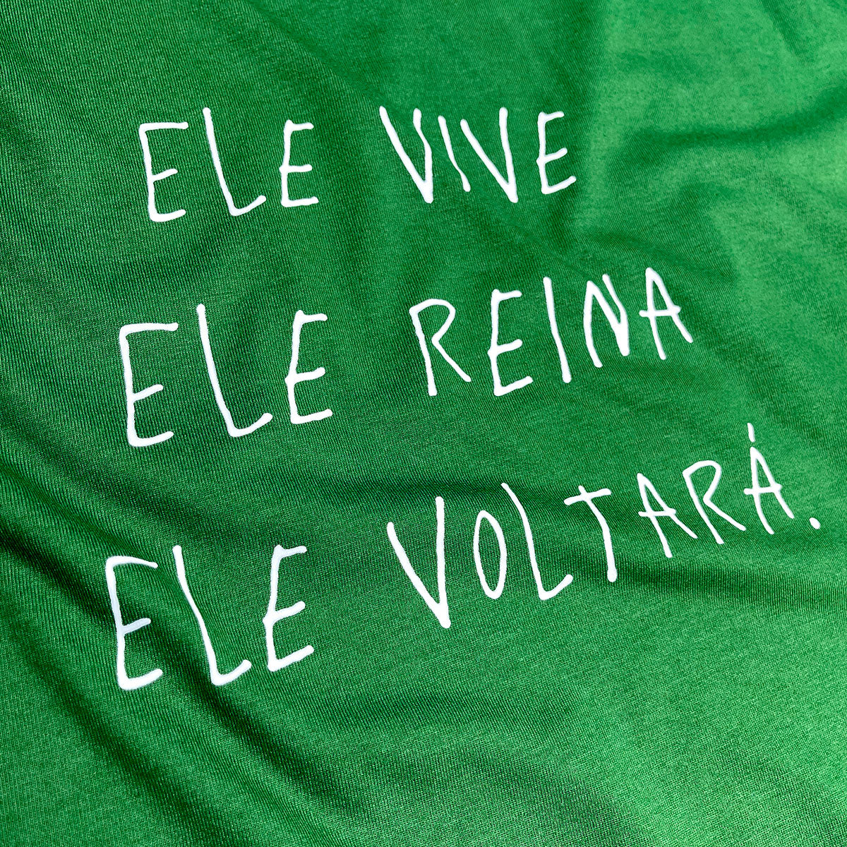 Camiseta Masculina Verde Ele Vive Ele Reina Ele Voltará