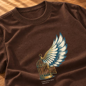 Camiseta Feminina Marrom Cristo me fez livre