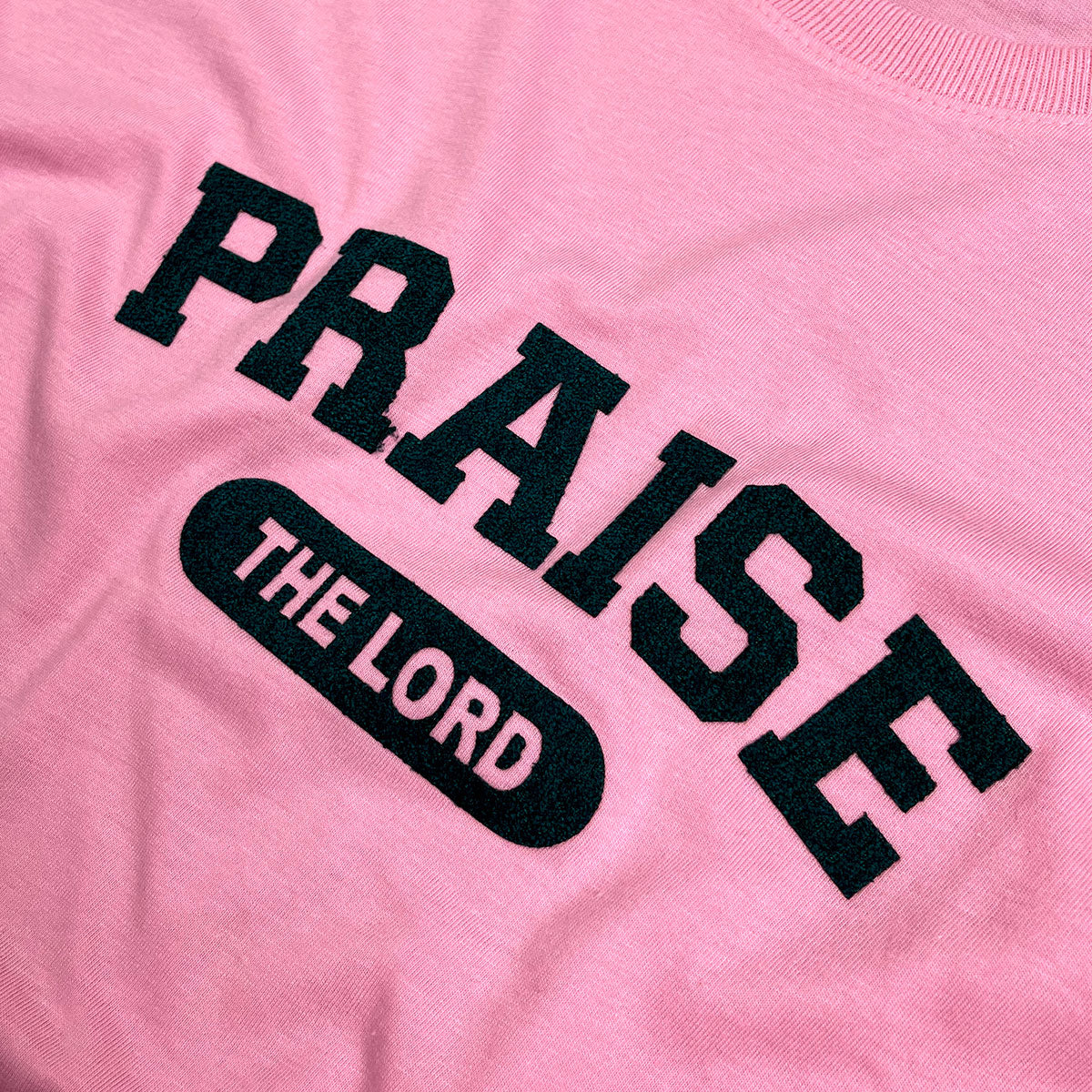 Camiseta Feminina Rosa Praise The Lord