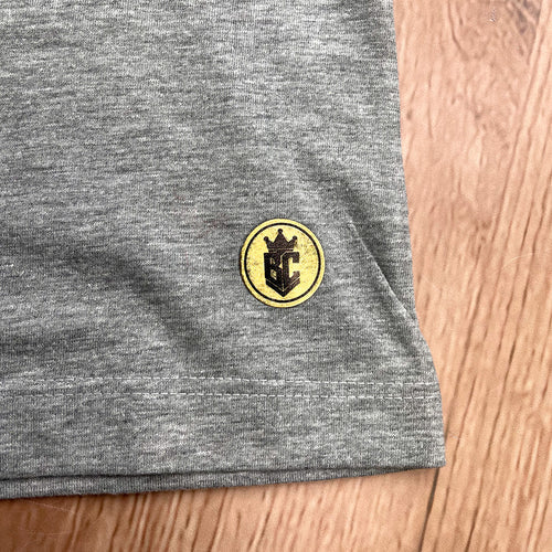 T-Shirt Infantil Cinza Leão Jesus Ele Vive Ele Reina