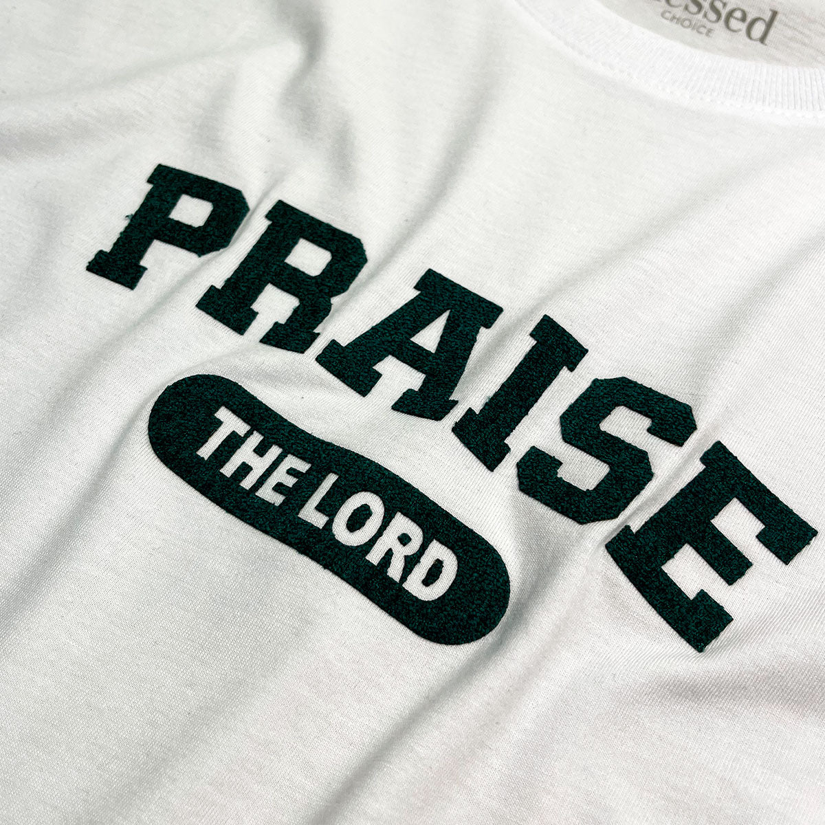 Camiseta Masculina Branca Praise The Lord